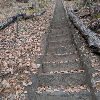 道路をテクテク歩き
建岩登山口
350段有ります