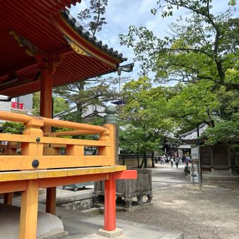 中山観音・・お礼参りで赤子連れがめっちゃ多い