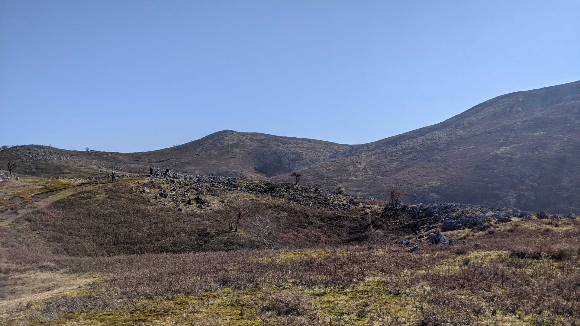 霊仙山登山道入口-汗ふき峠-経塚山-霊仙山 往復コースの写真