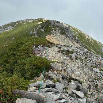 その先はまたいつか👋