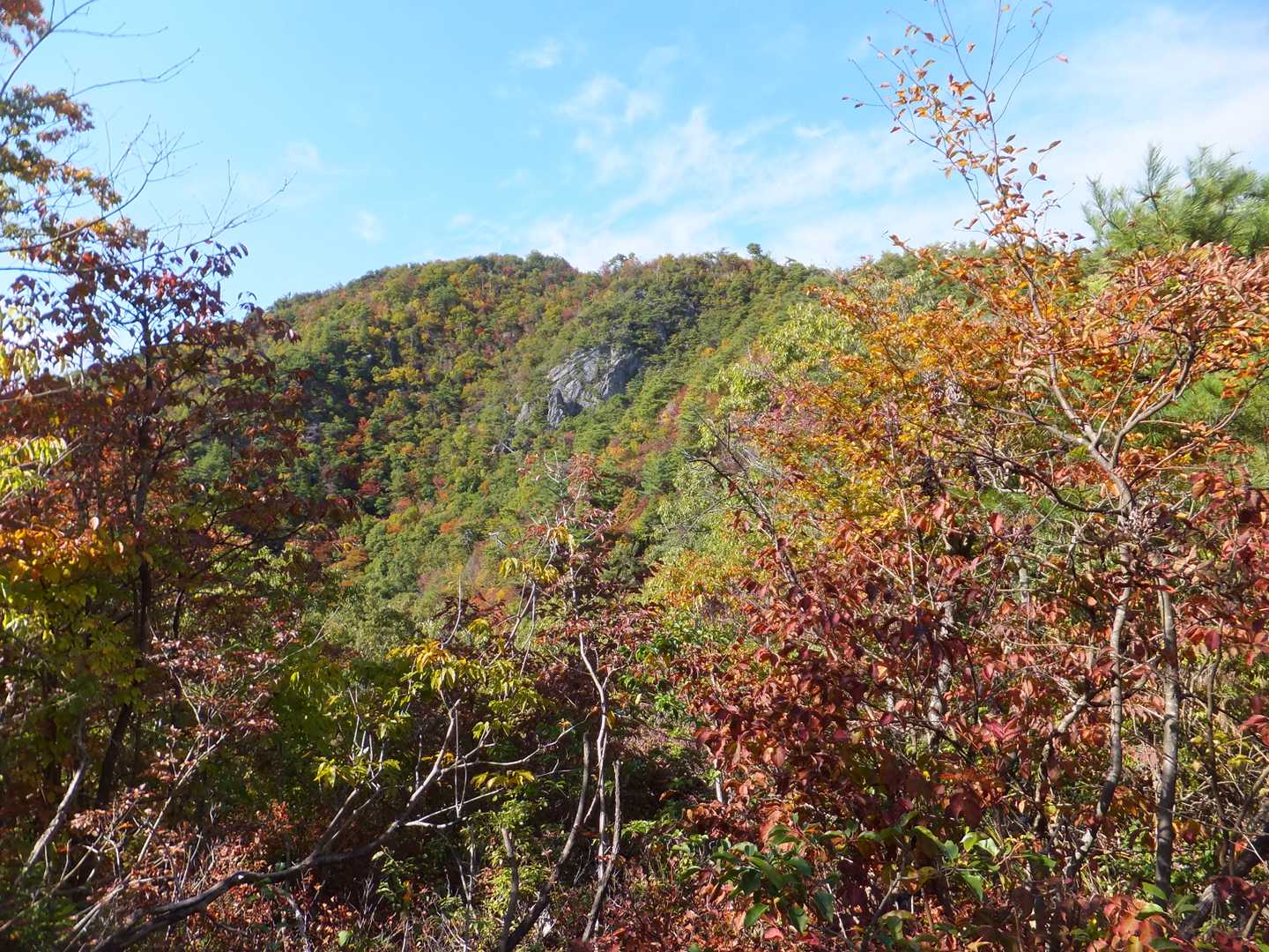 途中から山頂が望まれました。