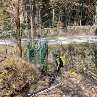 みどりの小橋を渡って
山中越を少し大津方向へ歩く