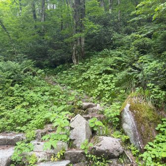 無事下山
バテバテ&ヨロヨロでしたが楽しかった！