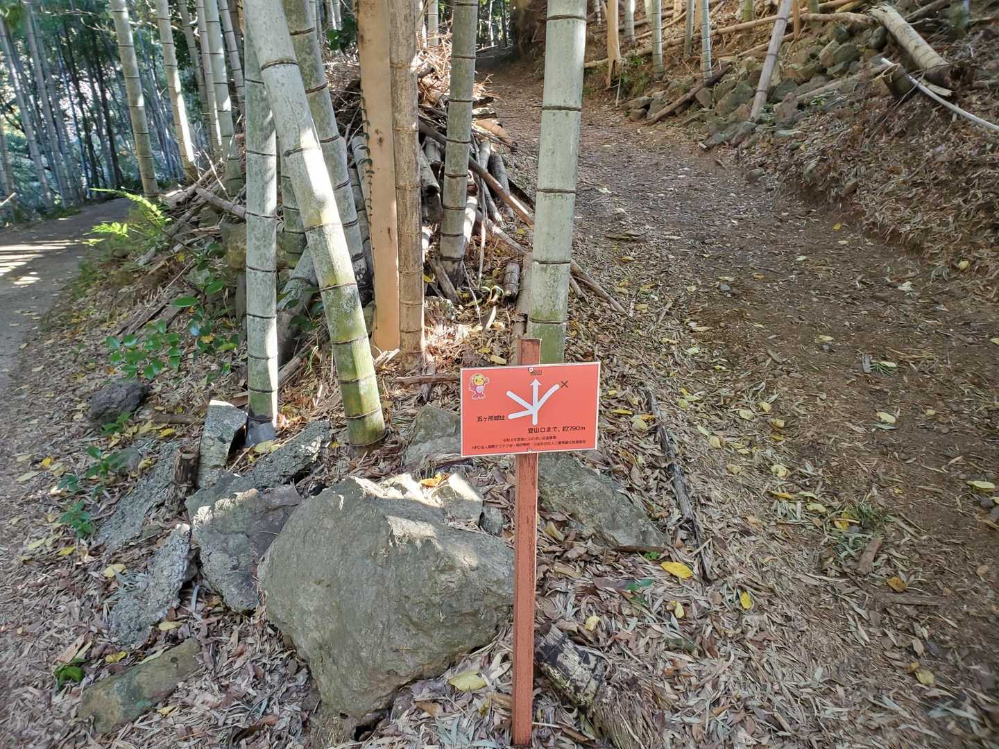 分岐を…!?
馬山は、4回目ですが、毎回迷ってしまいます。