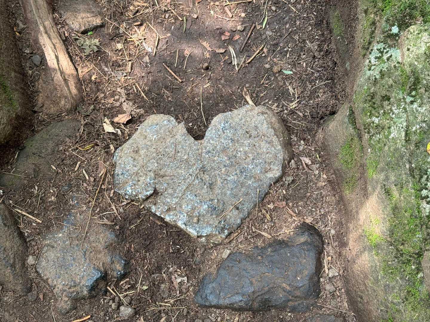 たまたま目に入った✨
初めて見た