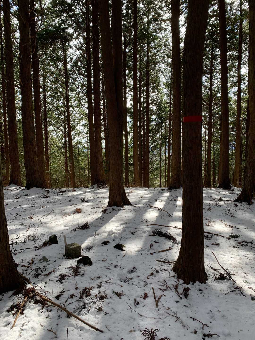 山頂　全景　