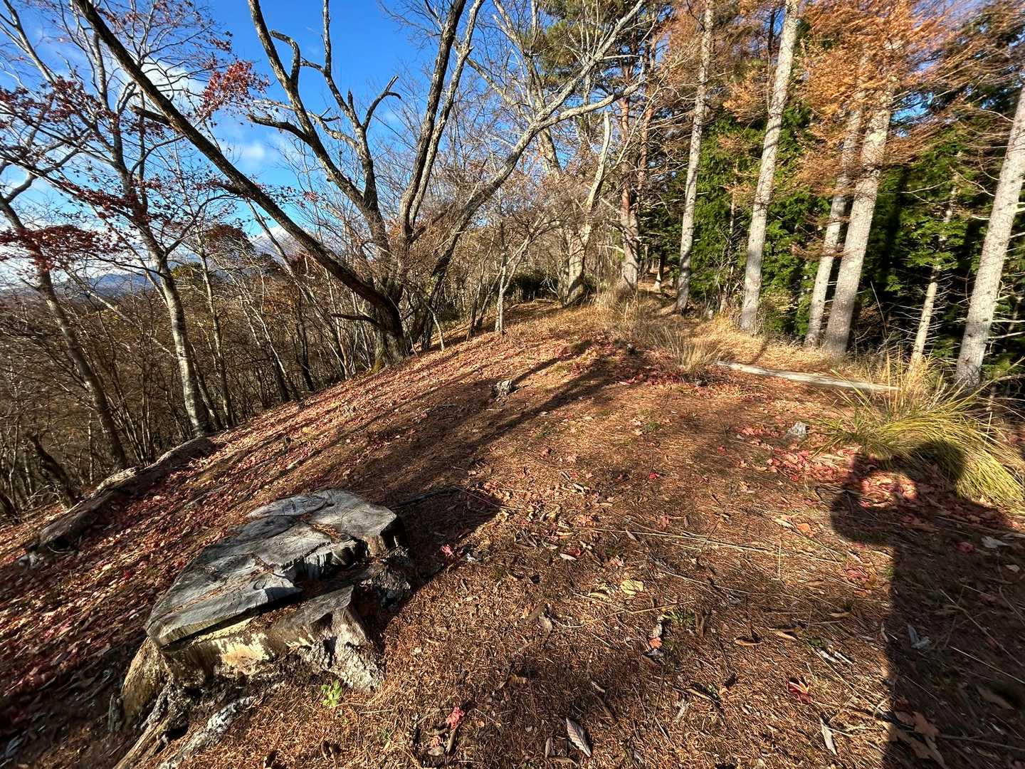 平尾山へ
