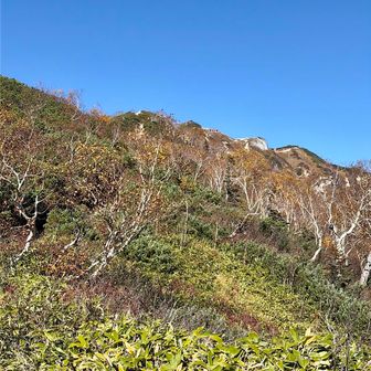燕山荘見えてきた✨