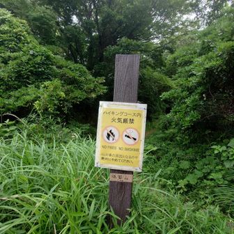 火気厳禁の案内が大きすぎて、山頂標識見逃されがち。