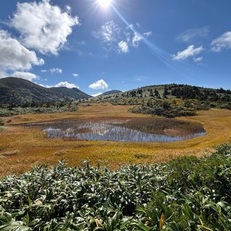 紅葉した田茂萢の湿地