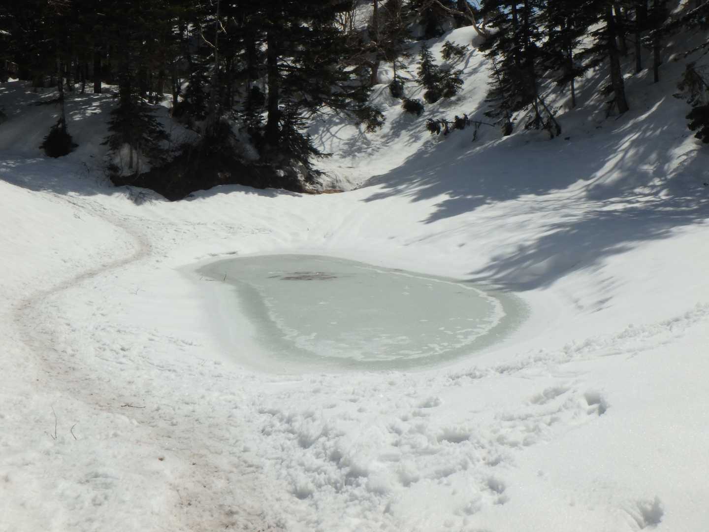 蝶が岳手前の妖精の池