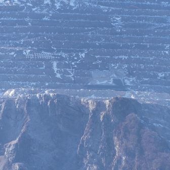 キラキラしていたのでアップにしましたが、特定ならず