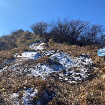 お散歩お散歩〜😉