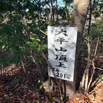 眺望はないけど看板がとても立派