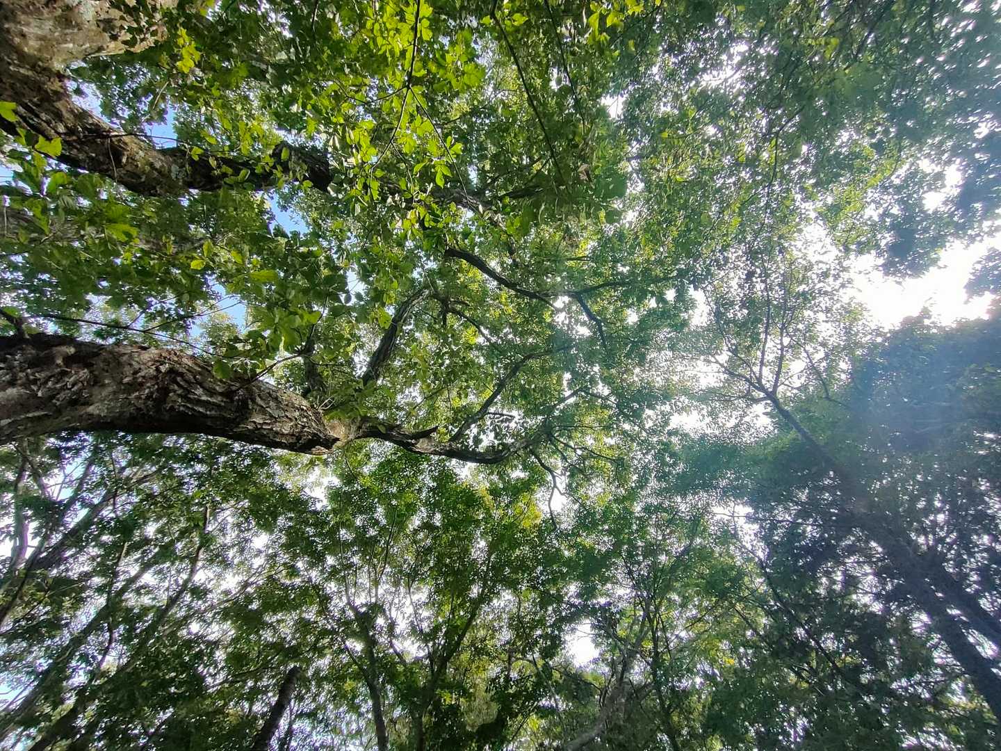 志高湖畔バス停-船原山-立石山 周回コースの写真