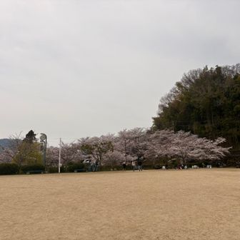 ゴールティン🏁
お花見🌸皆さん楽しんでおられました✨