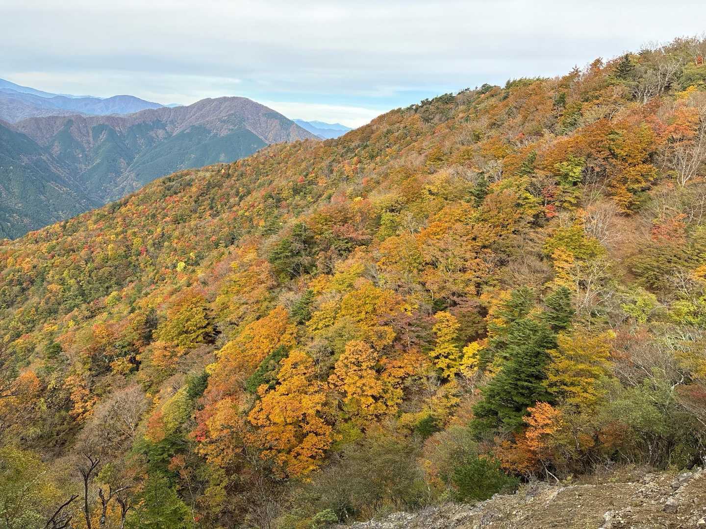 釜立林道（青根）-姫次-蛭ヶ岳 往復コースの写真