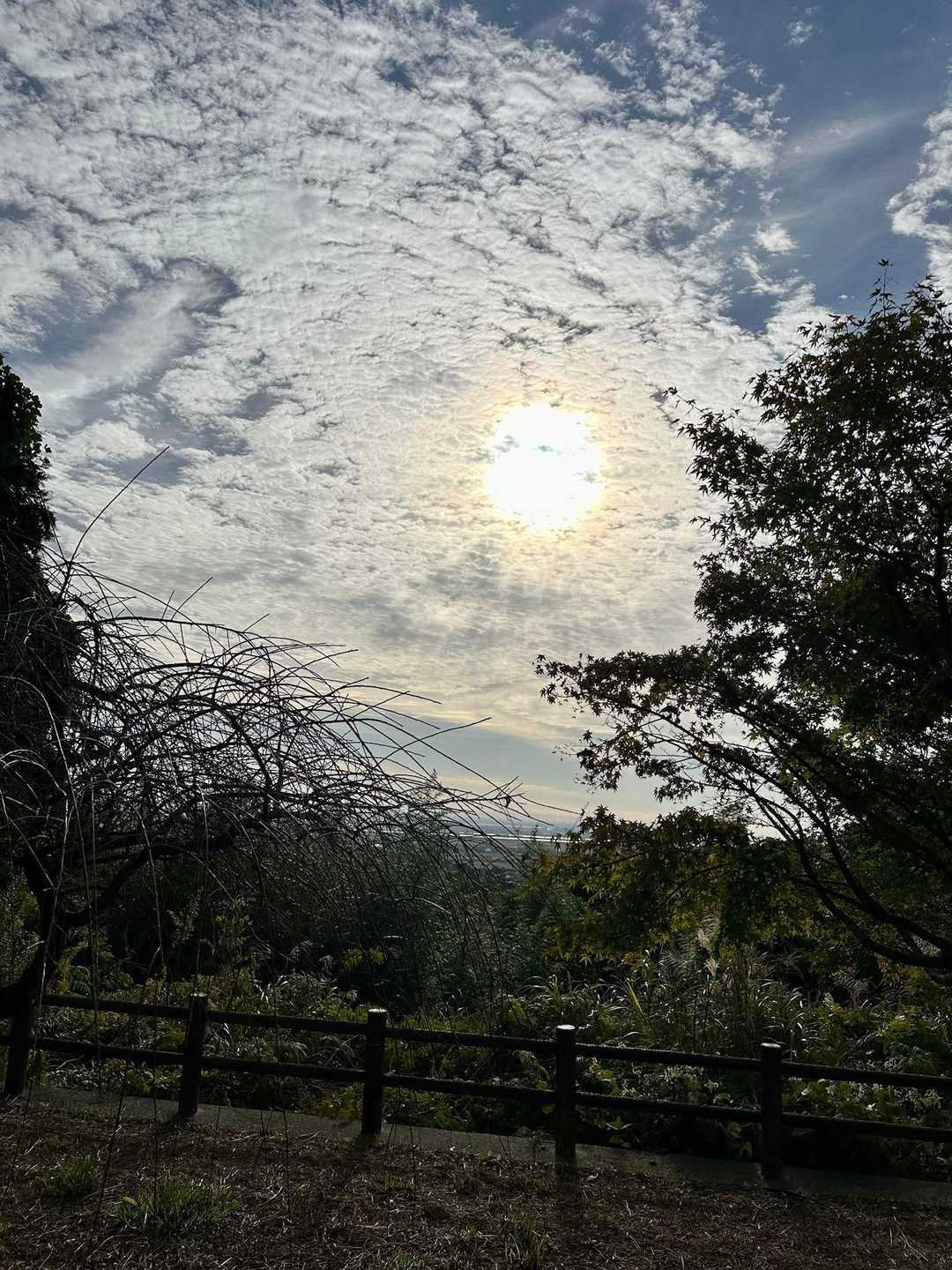 健脚コースの登山口へ向かいます