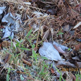 かなり冷えました