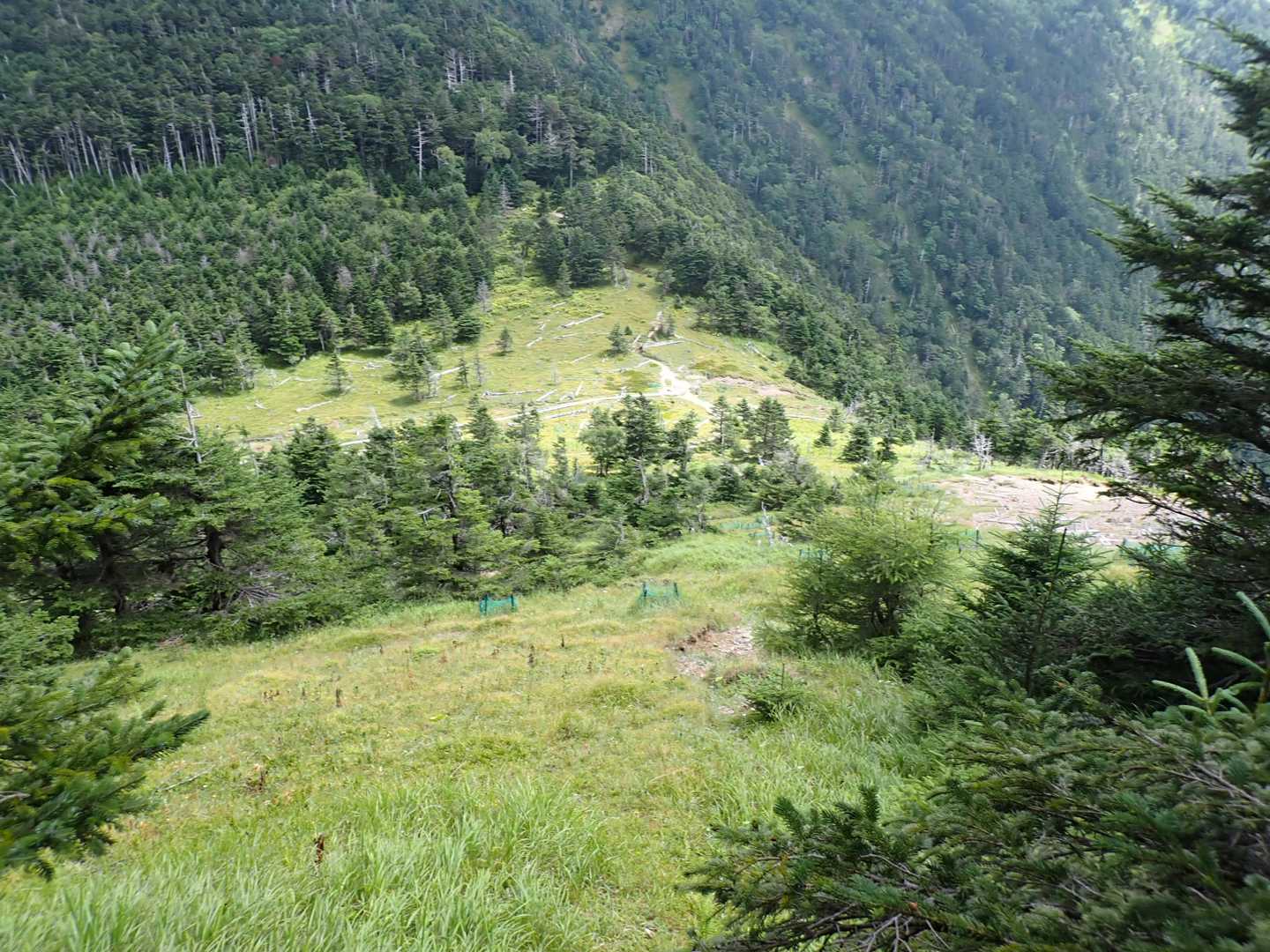 赤石岳・聖岳登山口-富士見平-赤石岳-百間平-中盛丸山-小 周回コースの写真