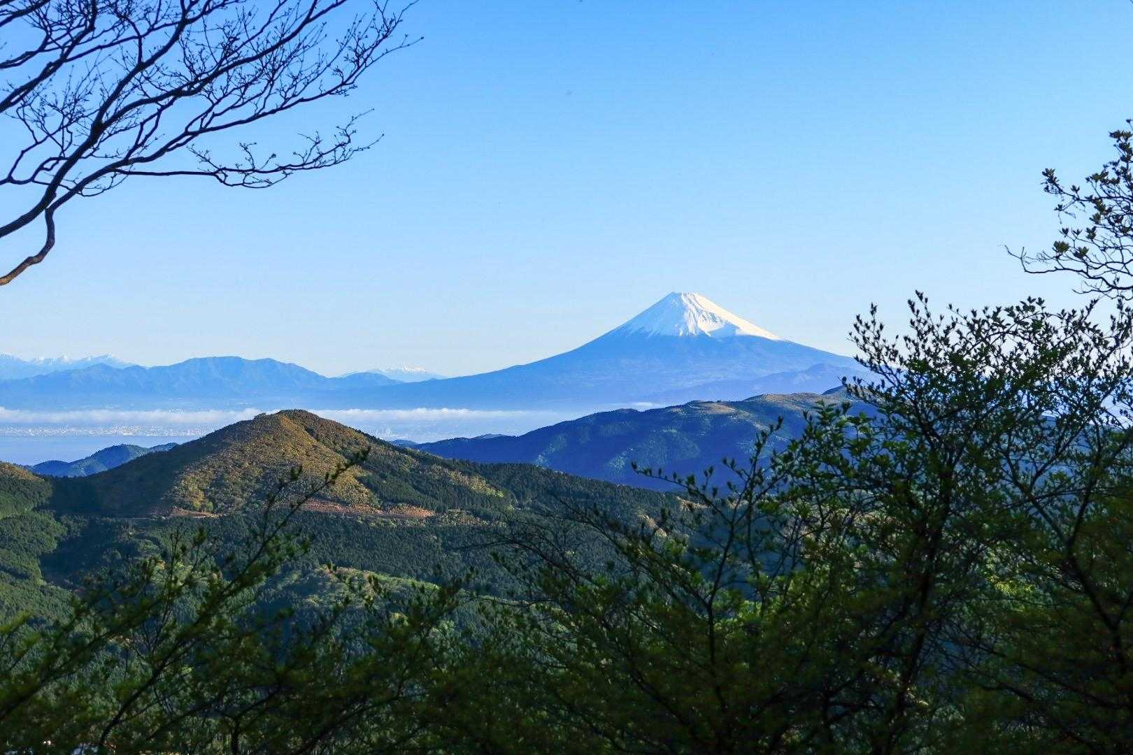 木々の隙間から富士山見えると、嬉しくなる