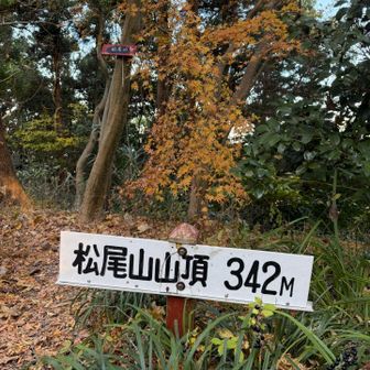 松尾山登頂⛰️