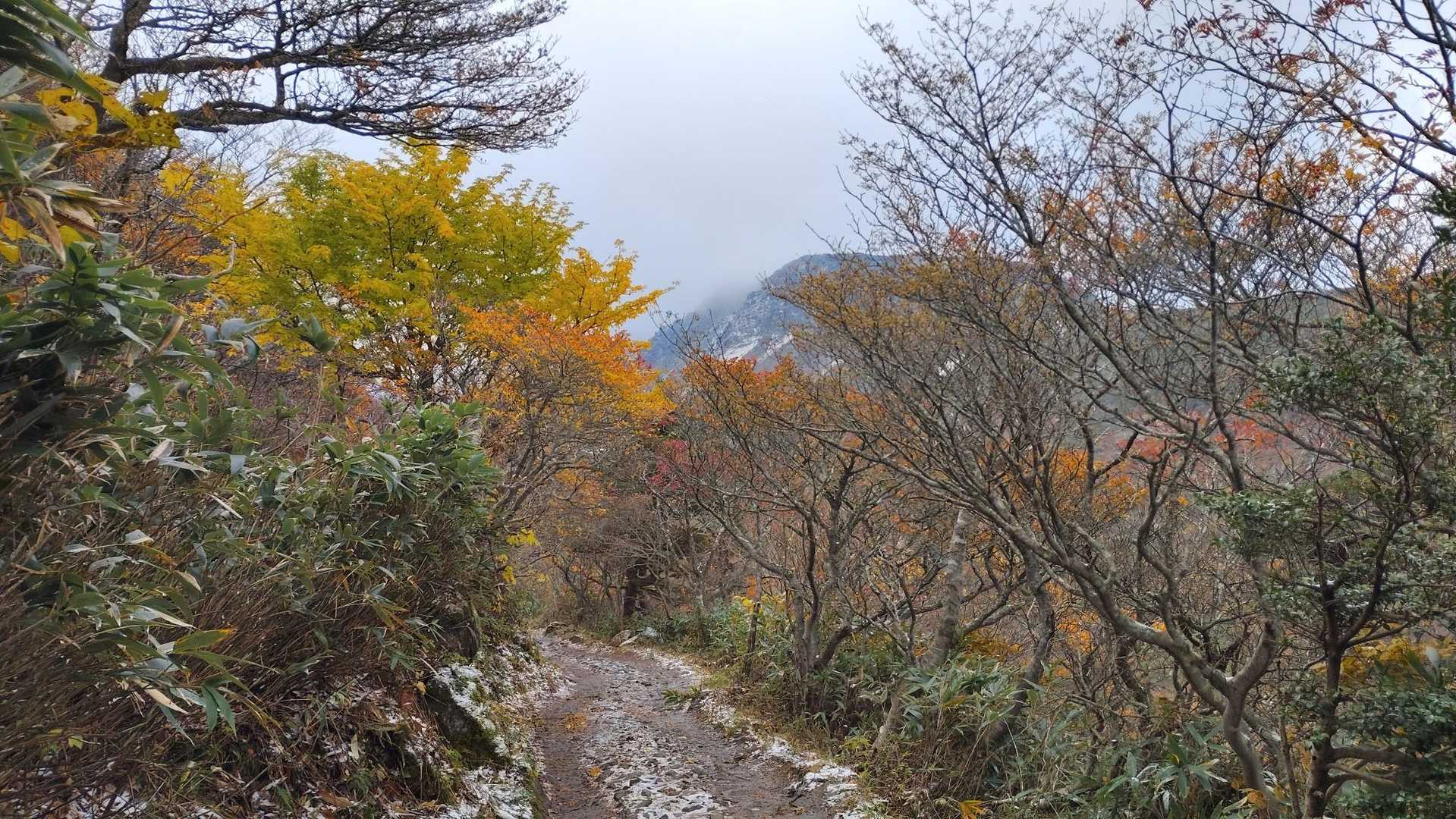 お山が観えてきました。