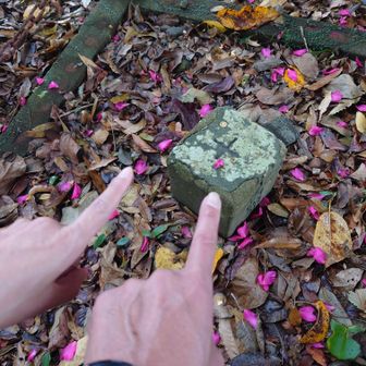 山頂探しウロウロしていると、「山頂どこですか？」と、山頂を徘徊してたヤマップしている人と出会い、手分けして山頂標識を探す🚶🚶
標識は無かったけど三角点を発見✨
どこにあるかは内緒にしとく