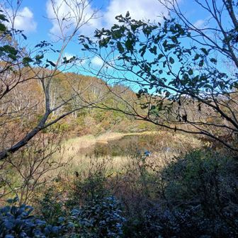 大池に戻って来た　こんなにホッとしたのは久々かも