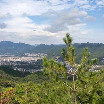 天狗岩からの展望
