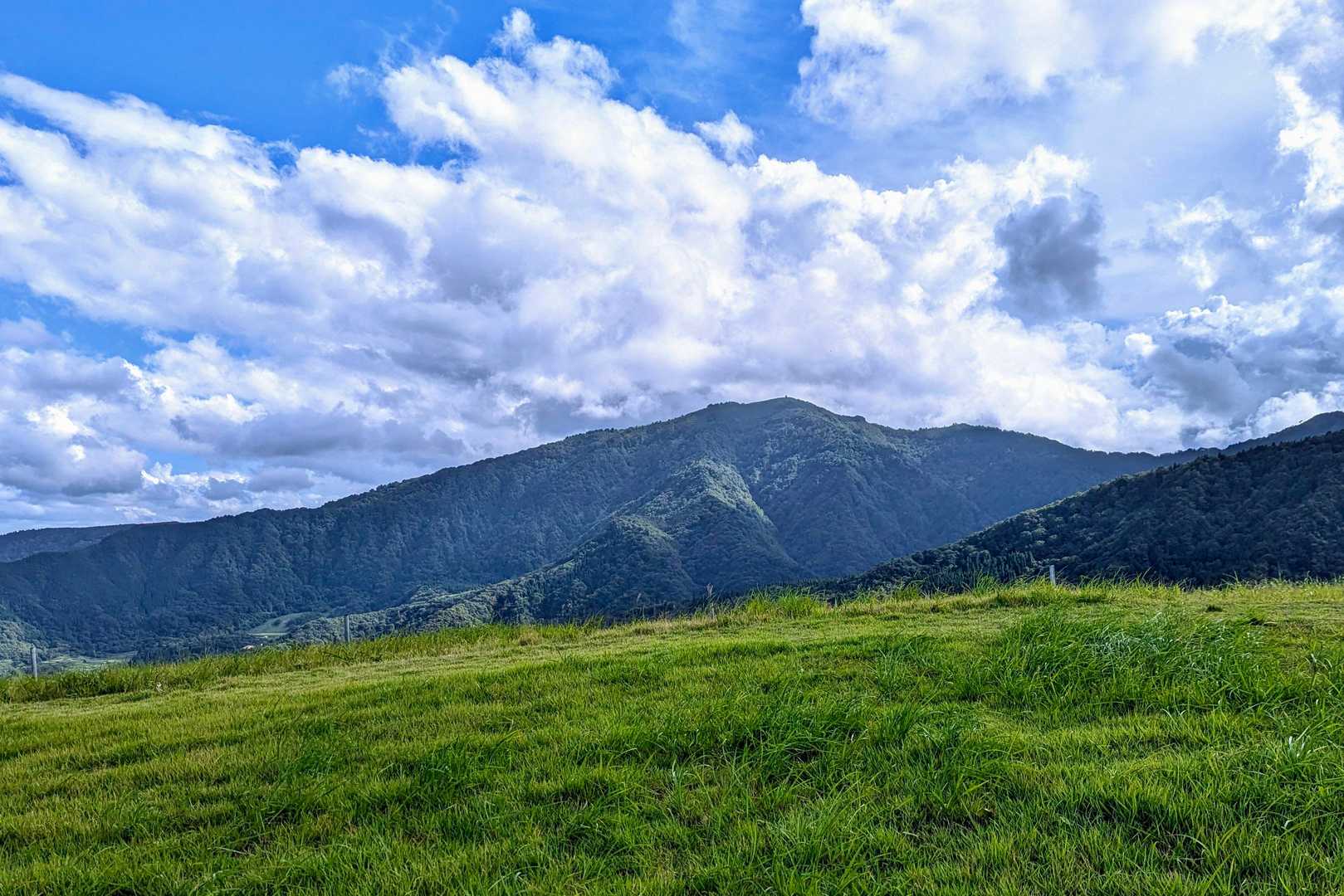 鉢伏山ぐるっと周回コースの写真