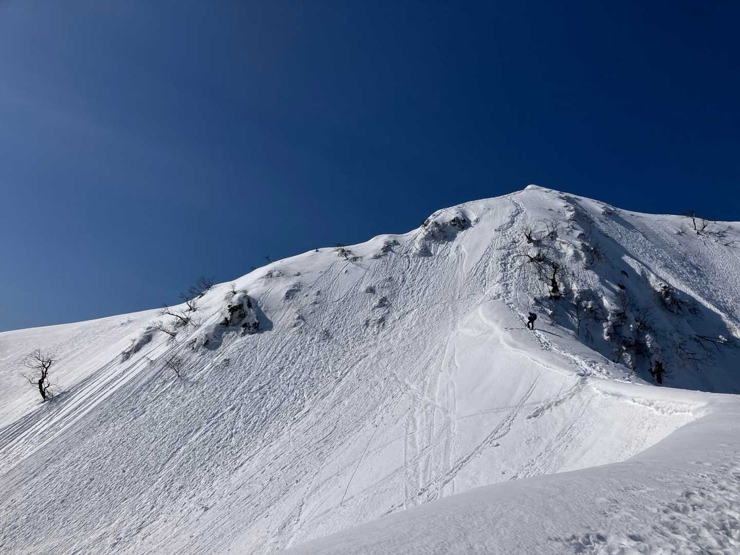 鏡ケ成キャンプ場登山口-烏ヶ山 往復コースの写真
