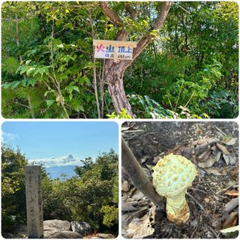 ・火山🌋
・ほんの少しの眺望✨
・火山手前のにテングダケ🍄
もっと手前の黒谷山は気付かず、通り過ぎていました😅