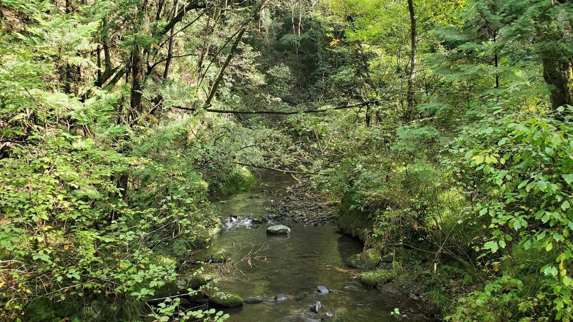川沿いよき！