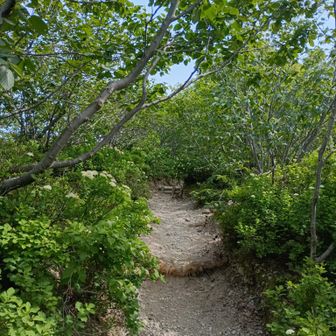 去年ぶりの樽前山スタート