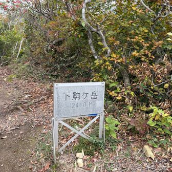 下駒ヶ岳の登りは急登💦急登💦💦
いったん休憩しよう