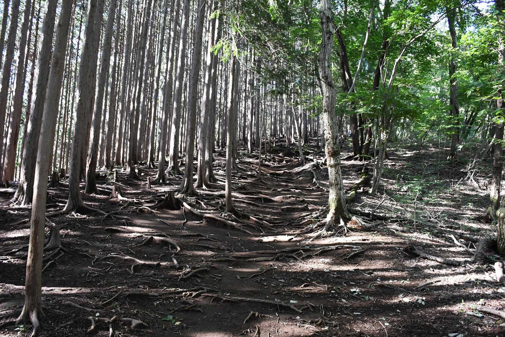 2か月もあくと心臓バクバク…
😵