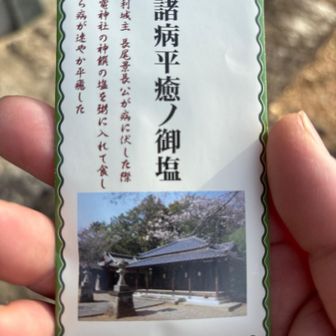 お参りをして、御塩頂きました✨