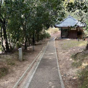 こんな道がずっと。