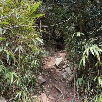 どんどん歩くよ暑い🥵