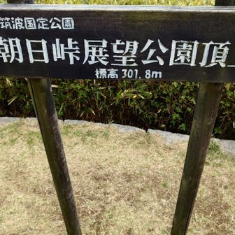 朝日峠展望公園到着！