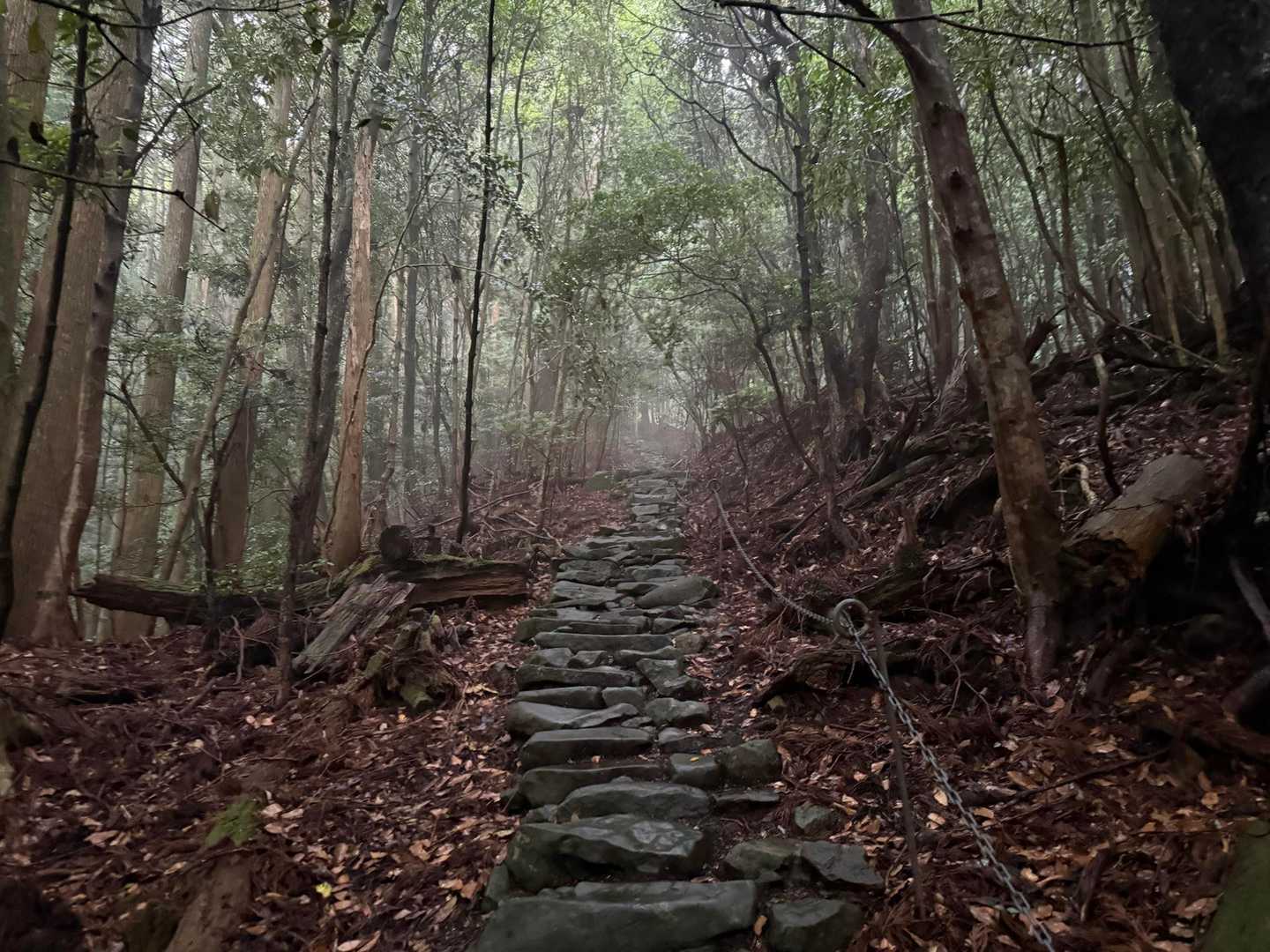 求菩提山 往復コースの写真
