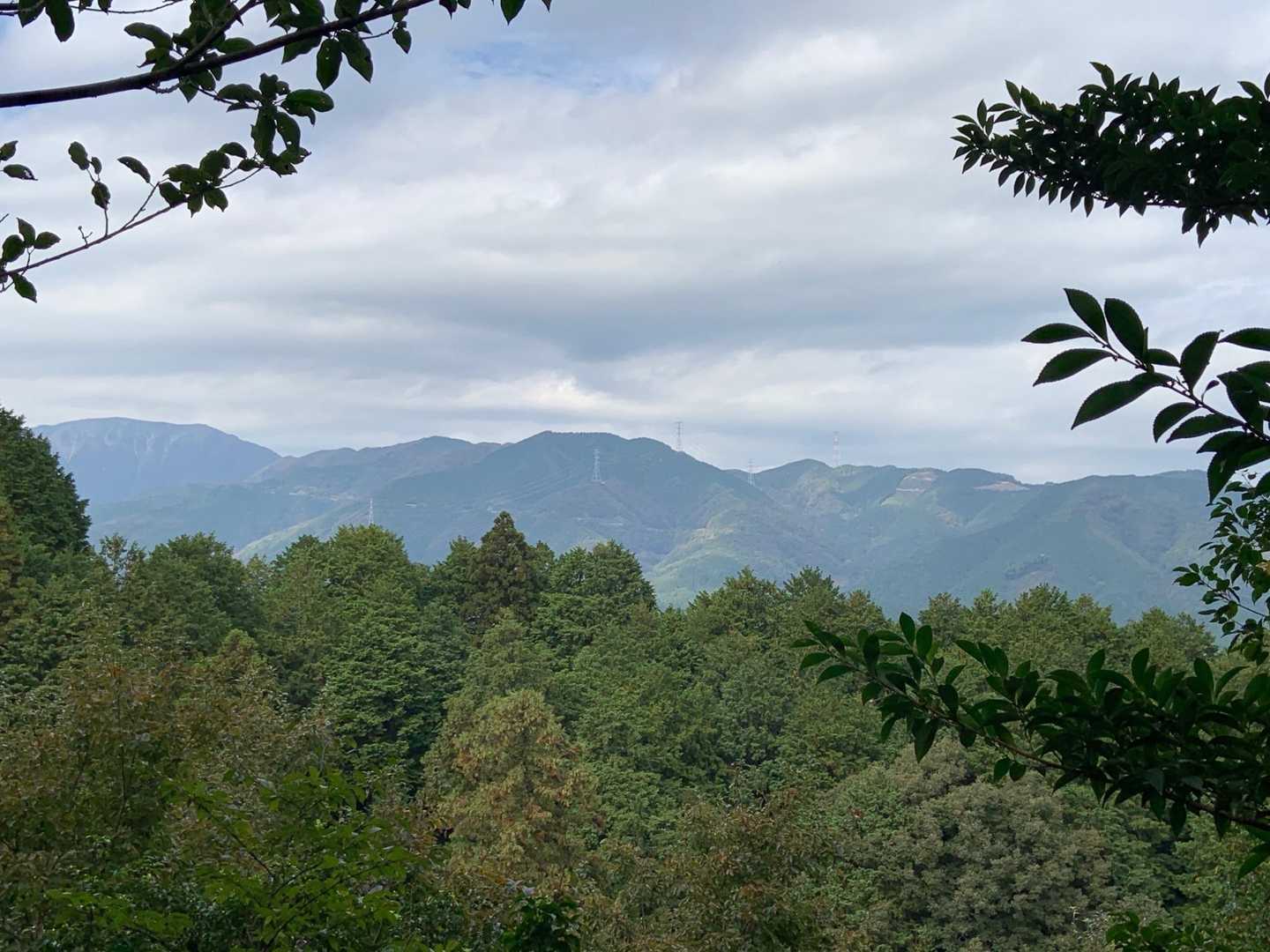 時折　養老の山並みが👀
