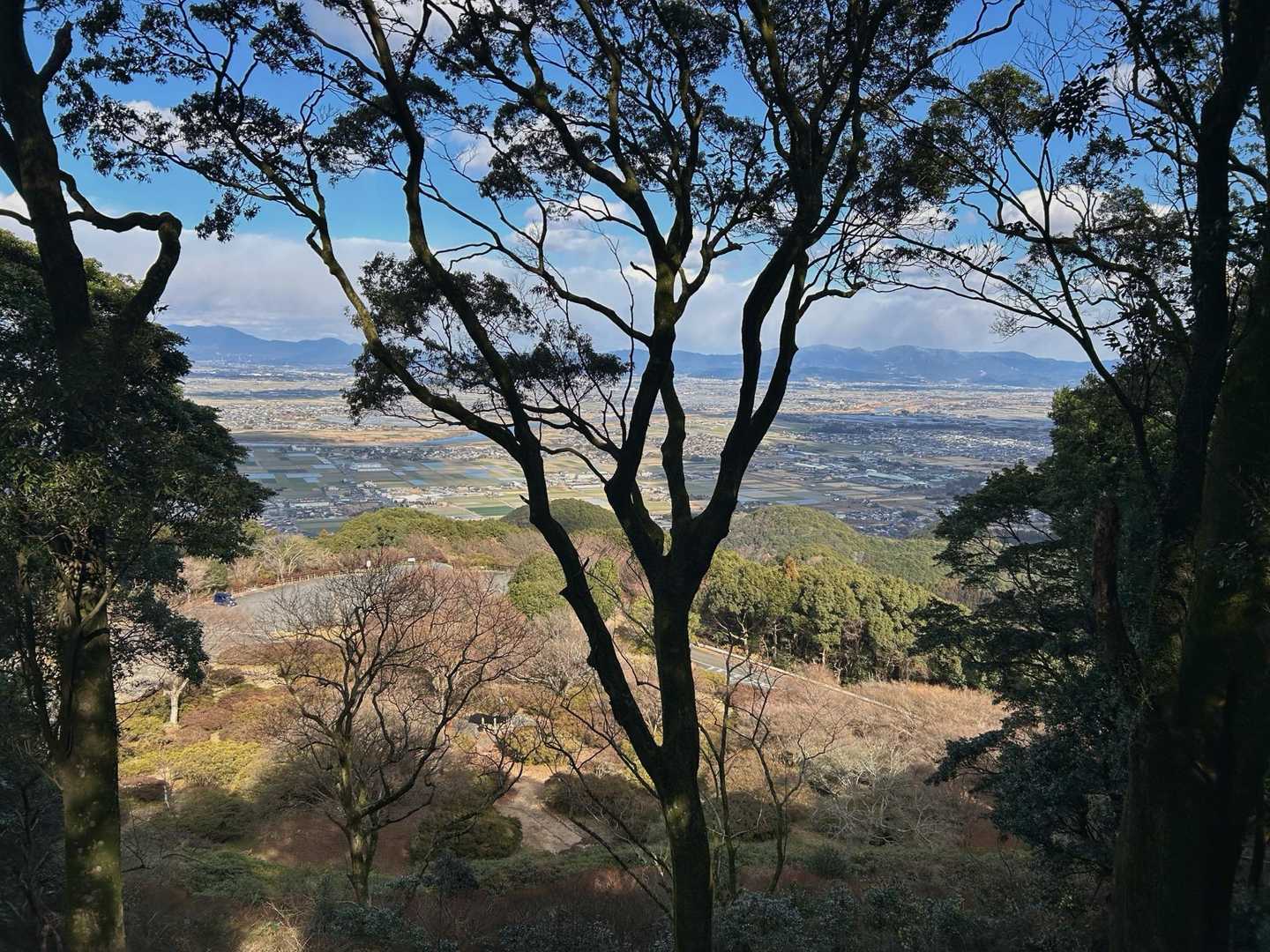 高良山往復 | 季節の草花が彩る高良大社参拝コースの写真