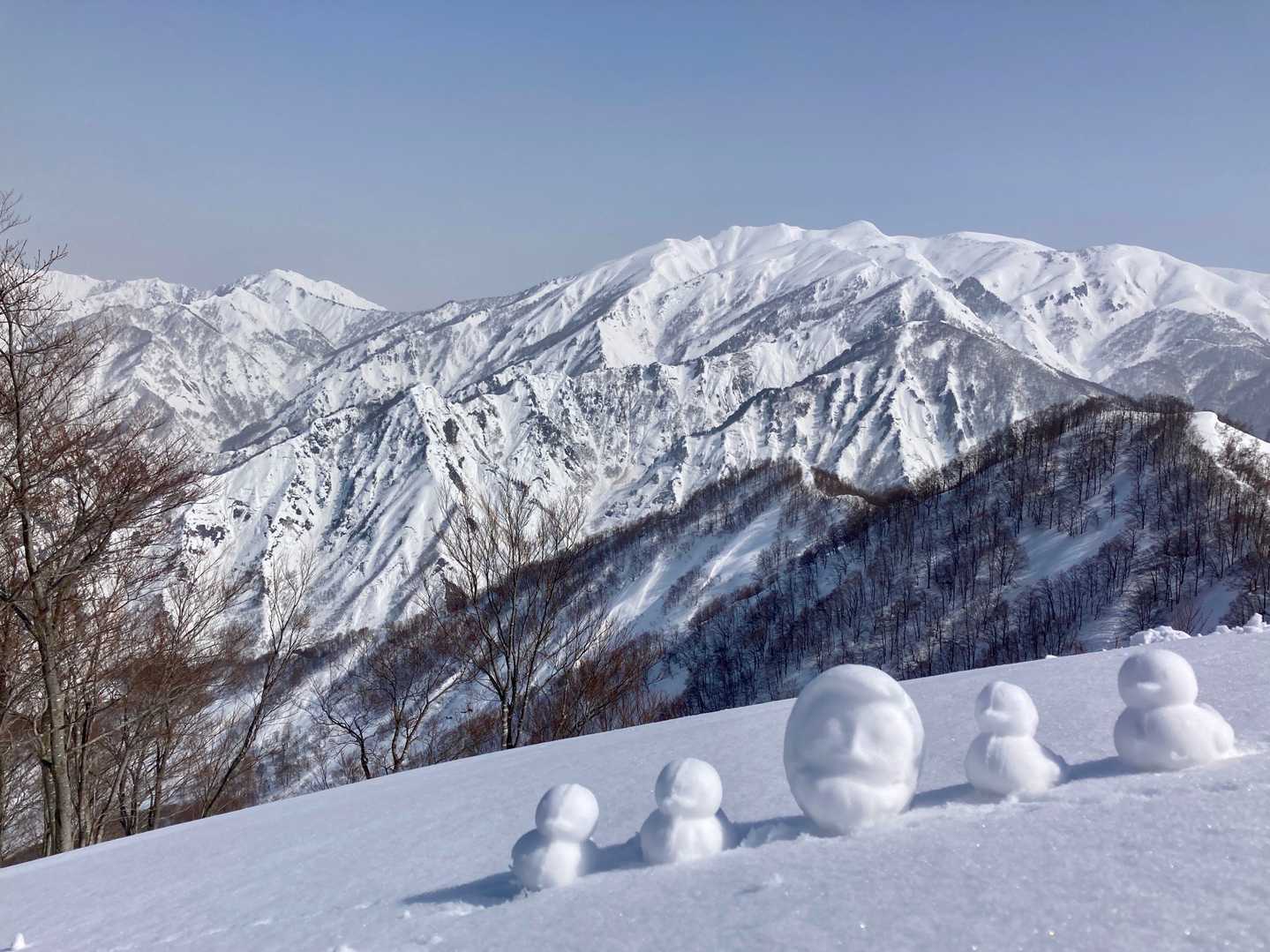 コラボ🐤🐤⛄️🐤🐤