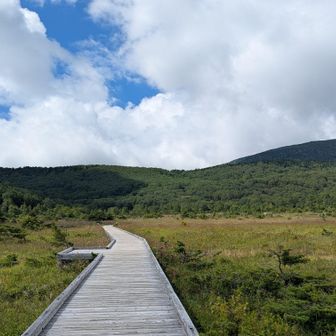 最初は木道