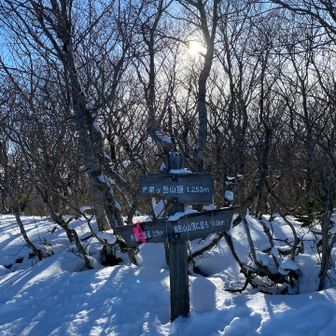　清々しい空気です😍
