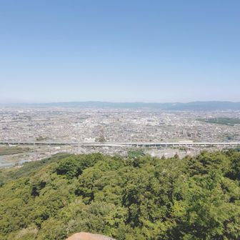 いつもの如く、ヘロヘロになりながら交野山山頂（観音岩）へ。日差しはありますが、朝の内は爽やかな気候でした　(｀･ω･´)ゞ　それでは下りながら、お花チェックを　(￣ー￣ゞ－