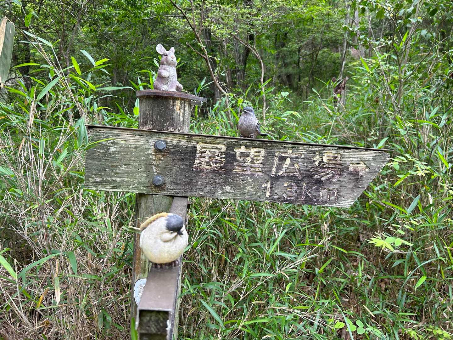 可愛い動物たちに案内されて
まずは展望広場を目指します