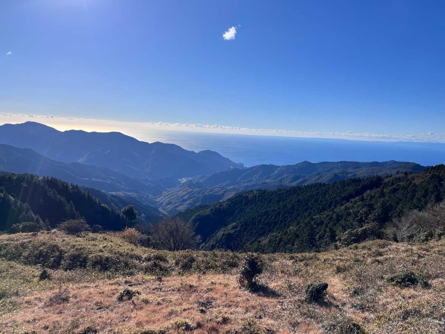 駿河湾